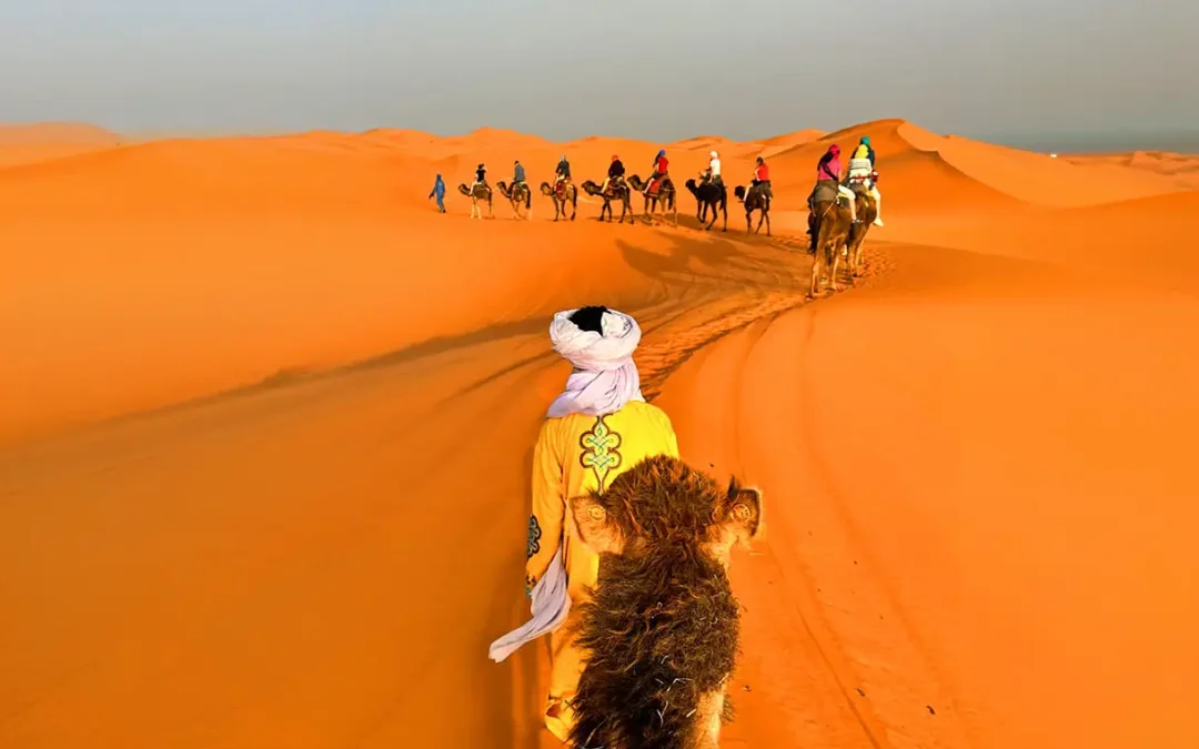 Private Desert Tours