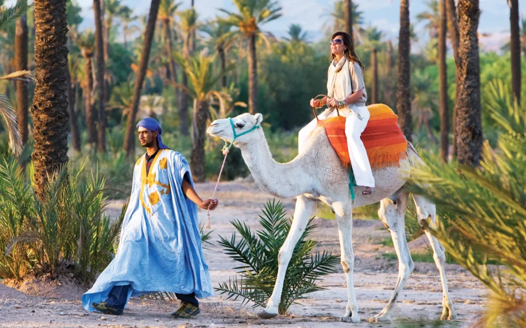 Marrakech Camel Tour